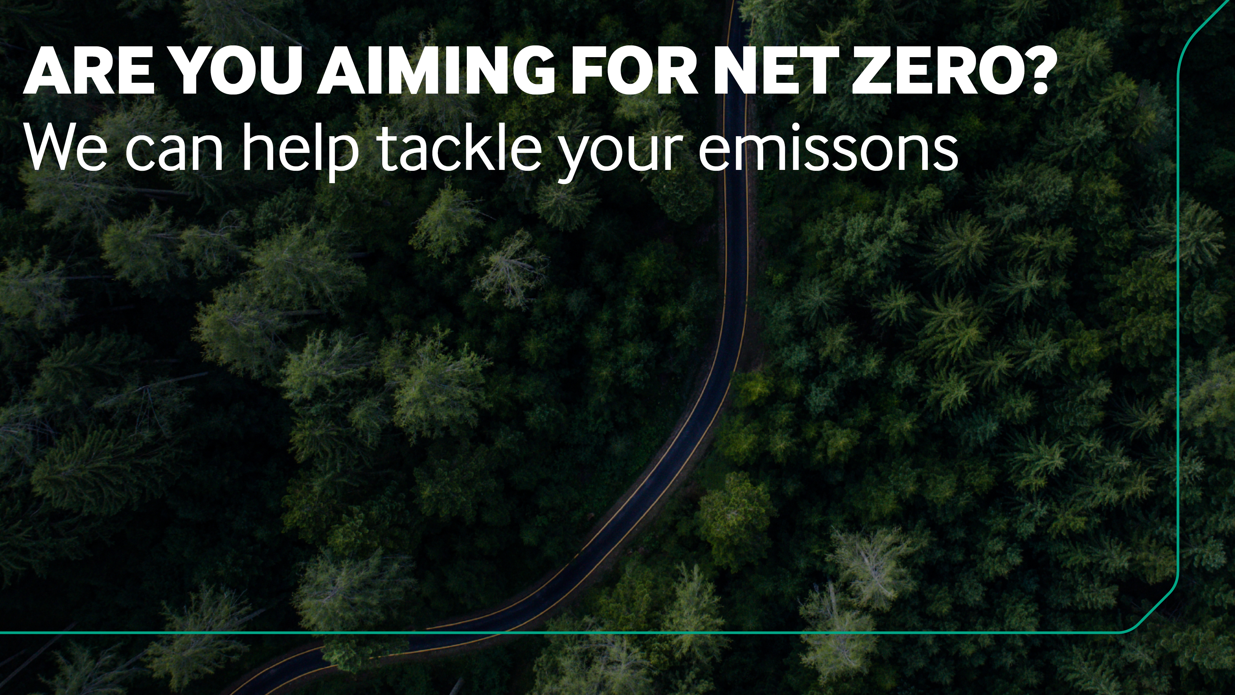 Trees in forest with road running through. Title image for video 