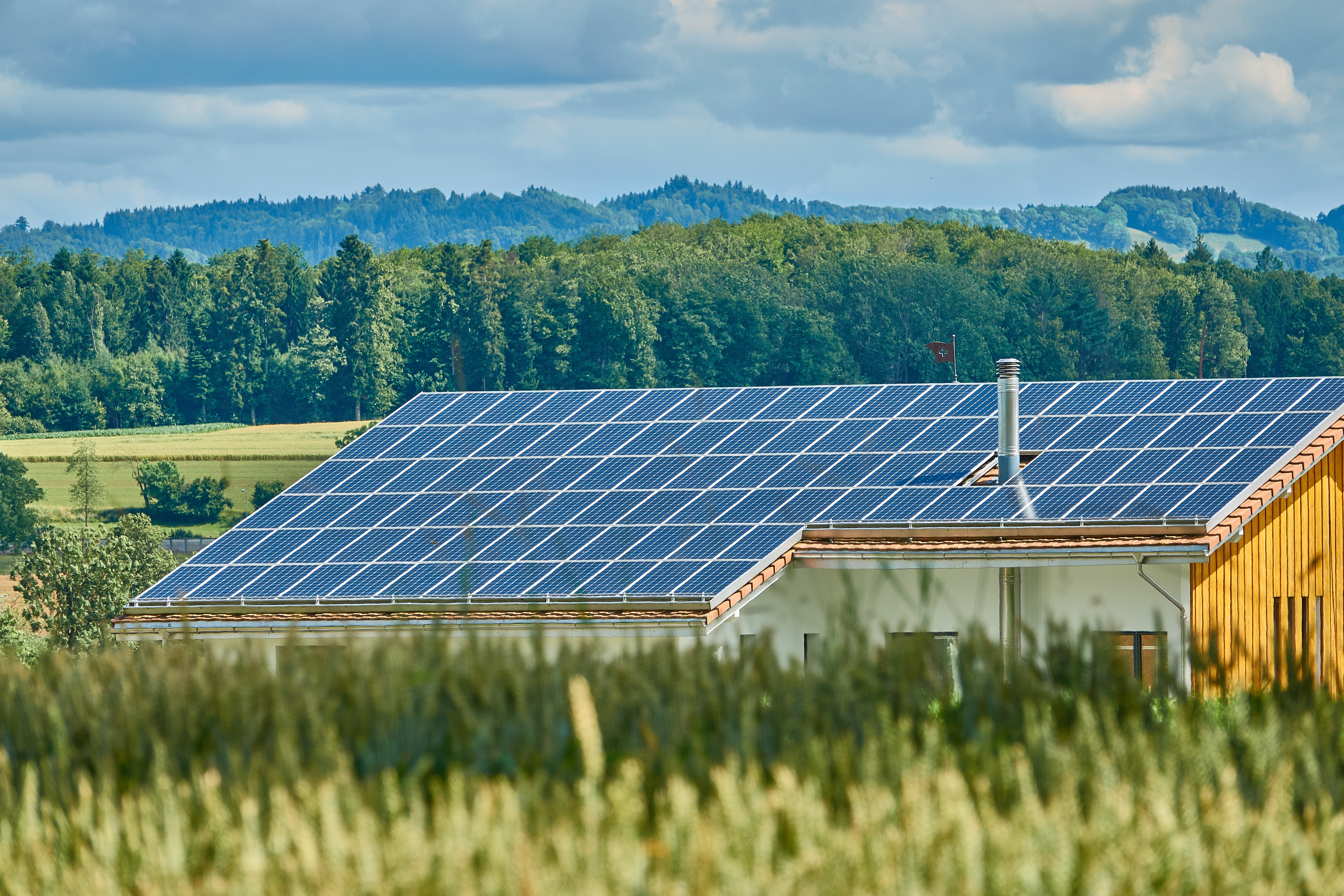 Solar farm in field