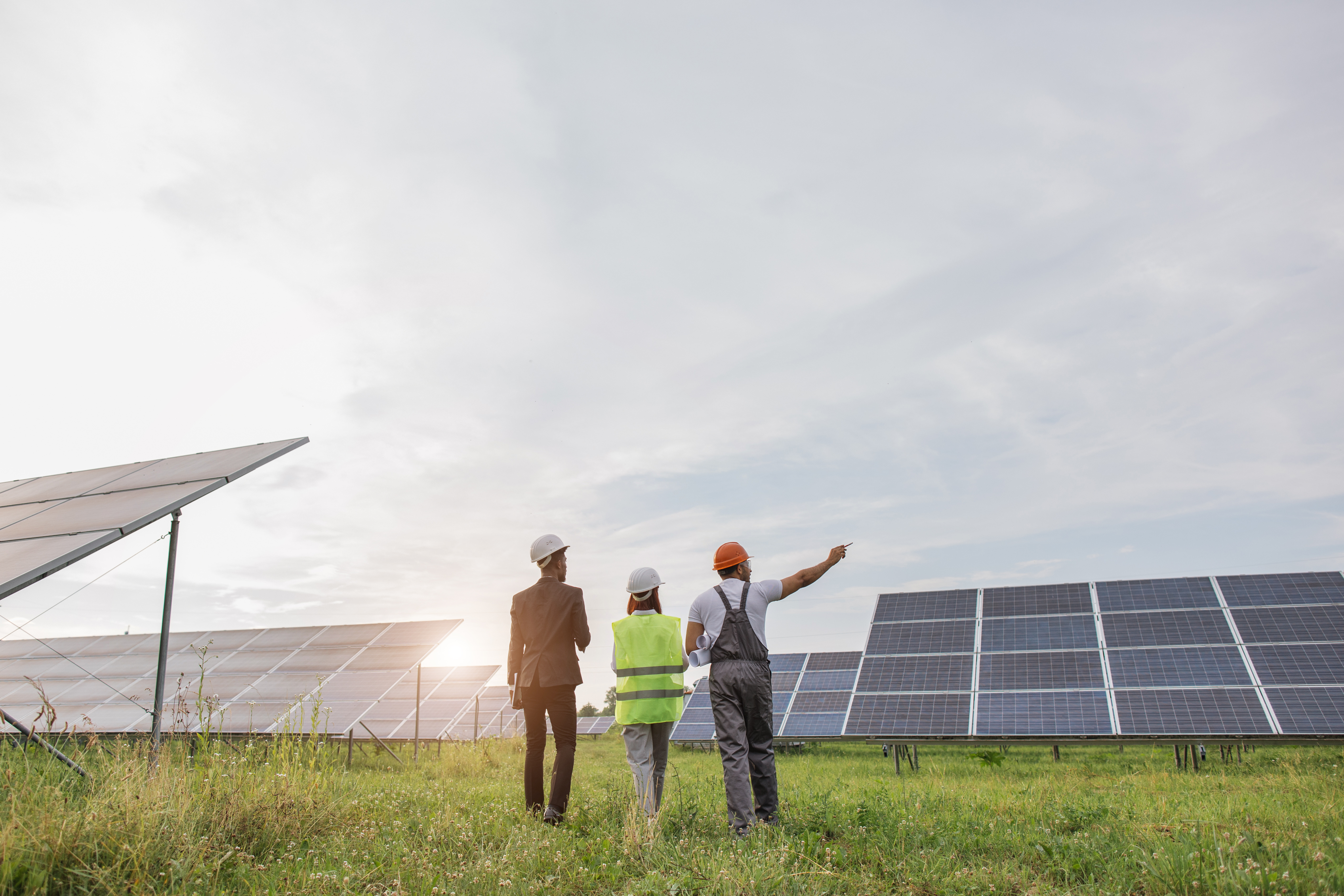 people walking in solar farm