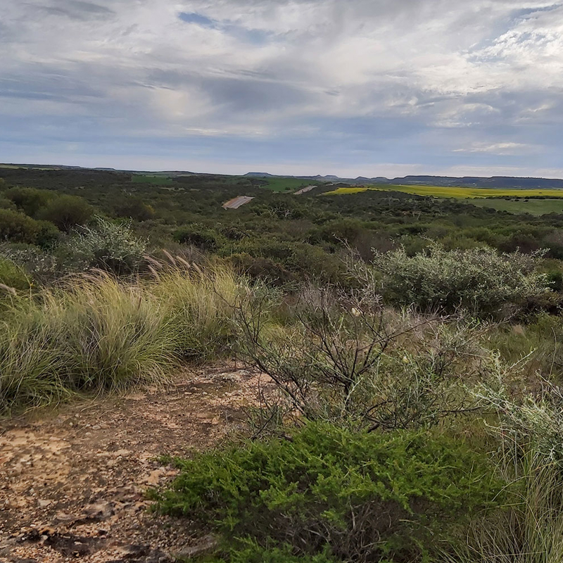 Oakajee site identified for a strategic industrial area in Western Australia