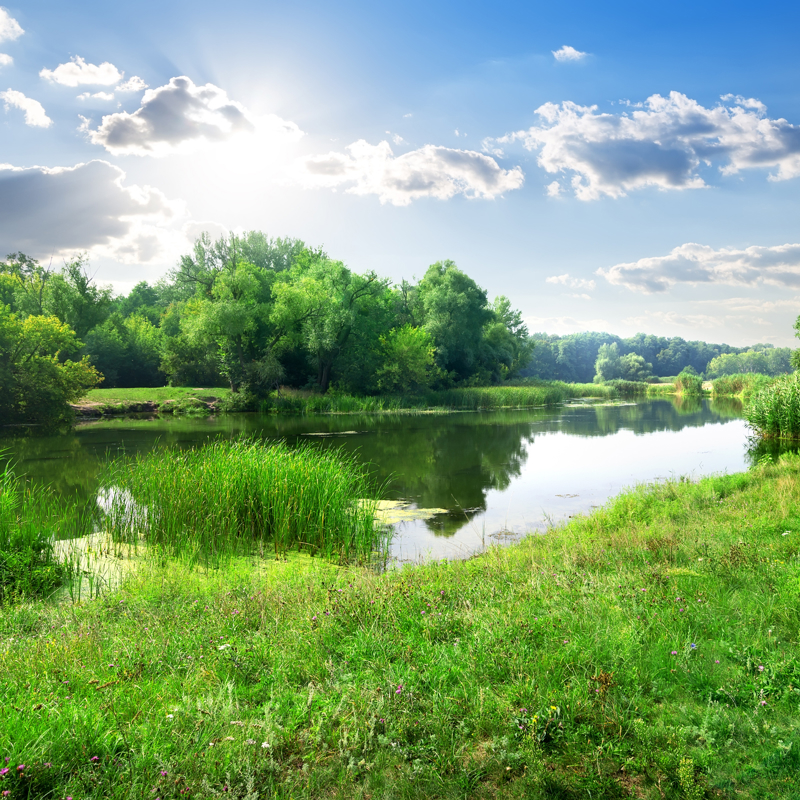 Lake Sunset GI-467176236.jpg