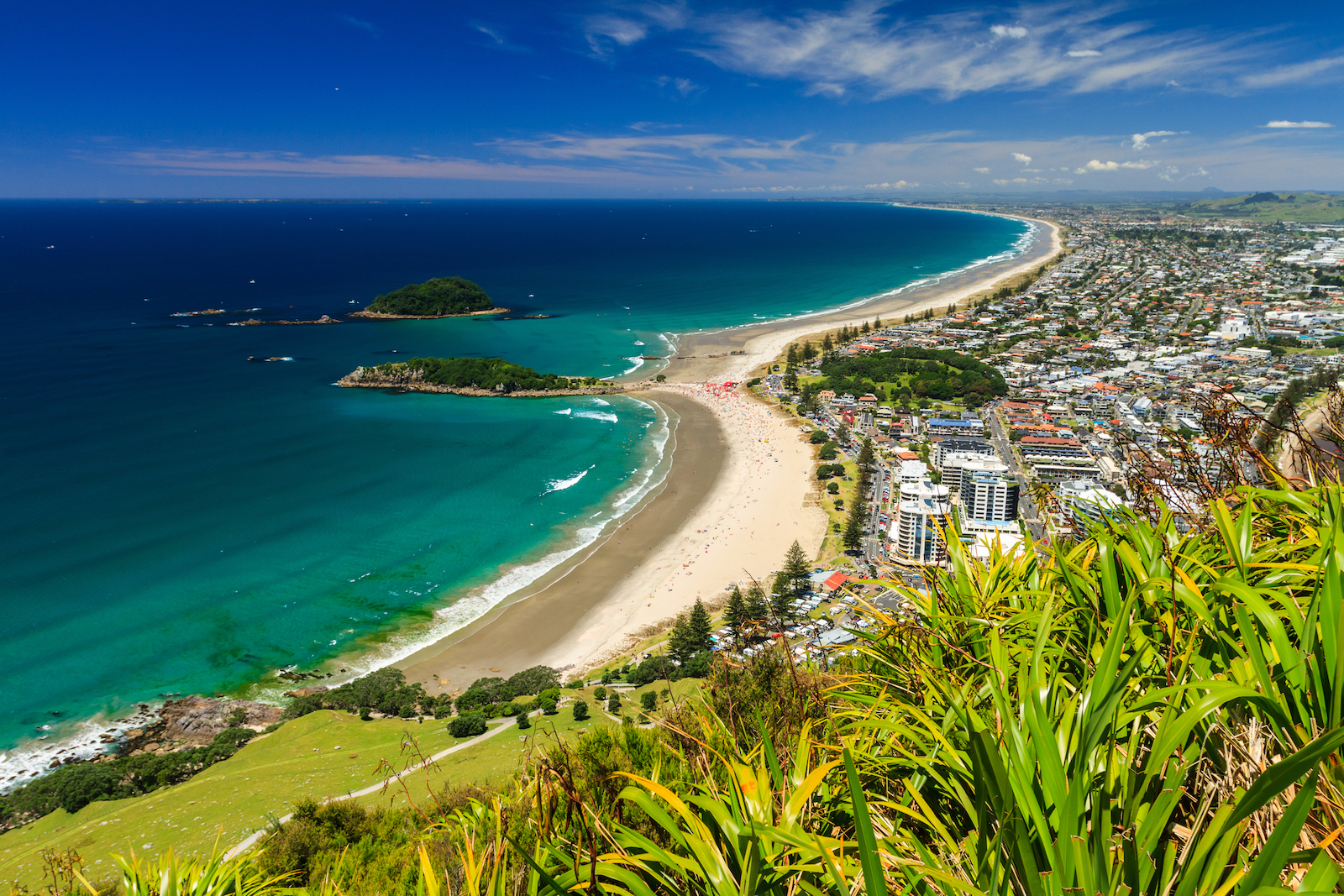 Beach and township views from the top of a hill in Tauranga, New Zealand