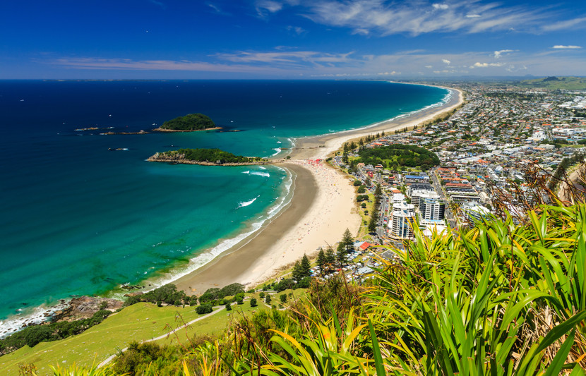 Beach and township views from the top of a hill in Tauranga, New Zealand