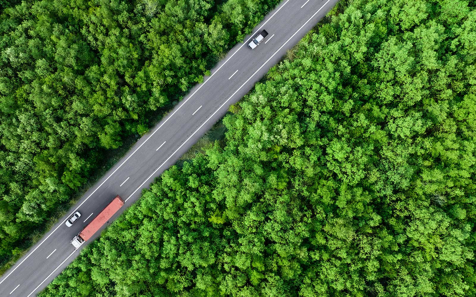 road running through green trees - linked to sustainable, green energy future