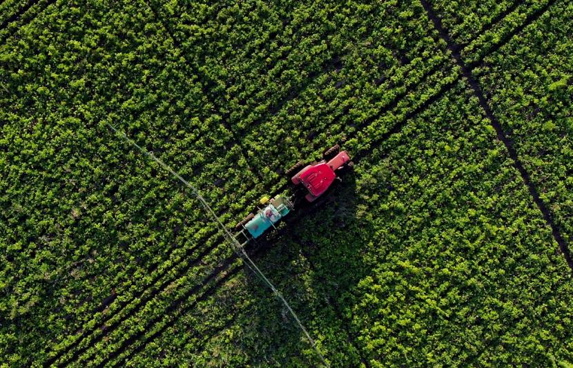 Aerial view of farming activity