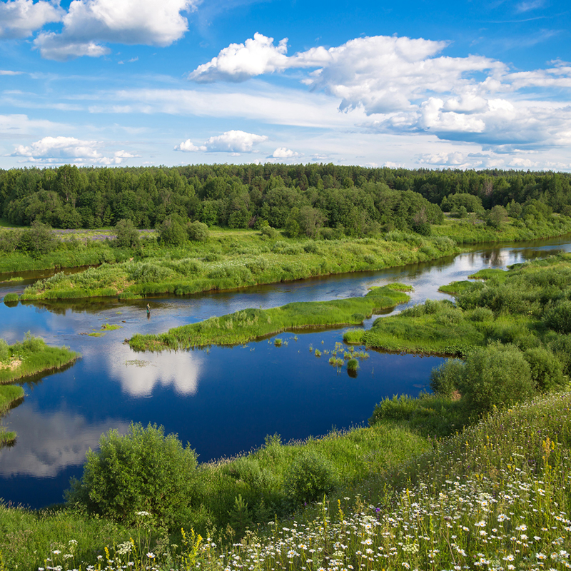Beautiful summer rural landscape with a river. 