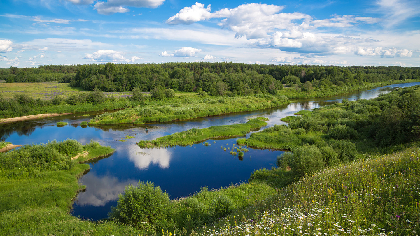 Beautiful summer rural landscape with a river. 