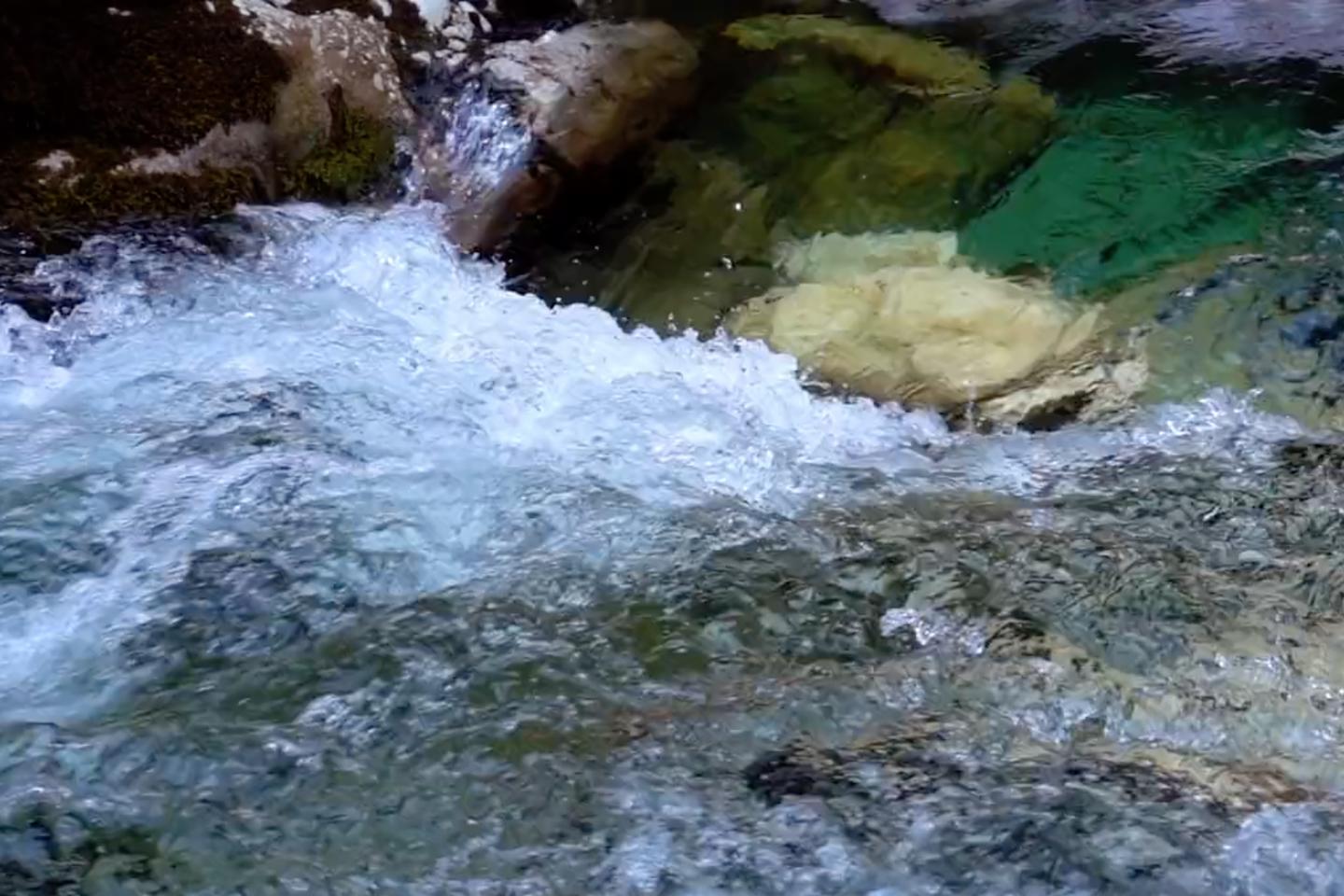 Water_services_fallback_(TEMP).png (1)