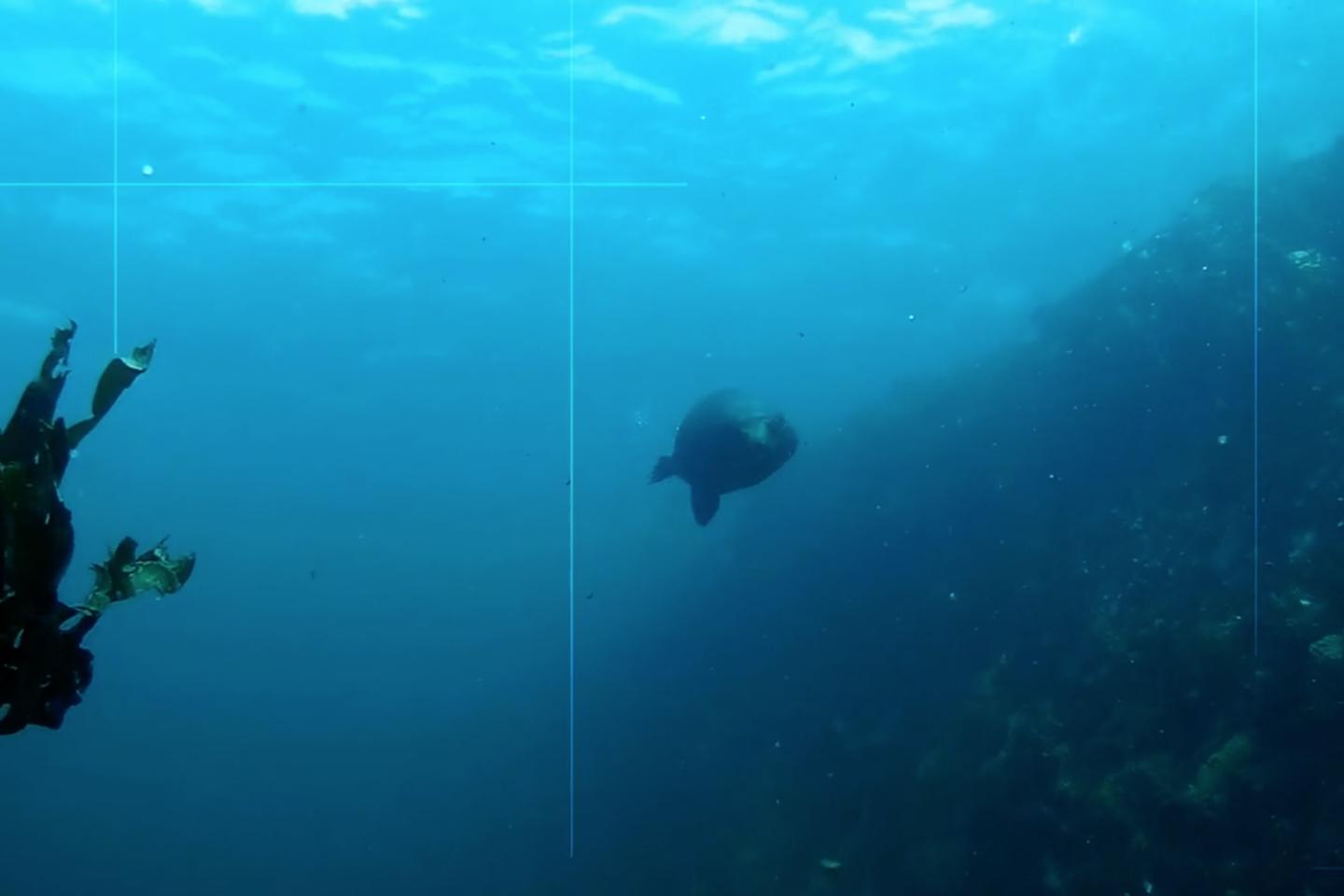 Oceans_and_coastal_fallback_(TEMP).png (1)