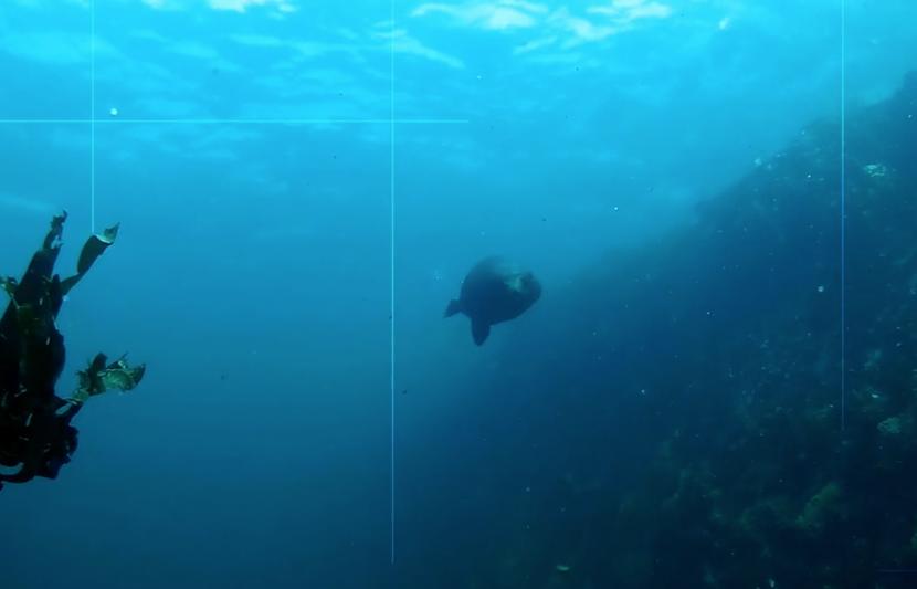 Oceans_and_coastal_fallback_(TEMP).png (1)