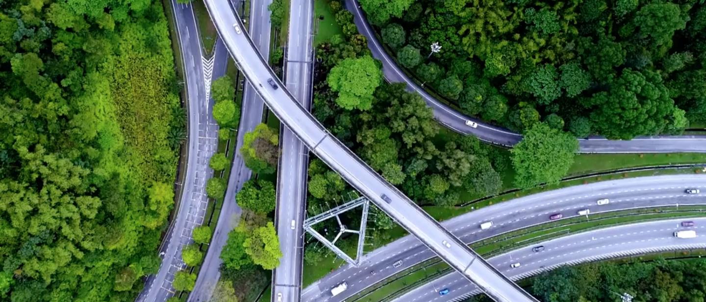 A network of roads and interchanges through the trees