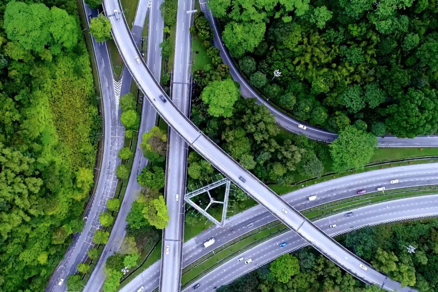 A network of roads and interchanges through the trees