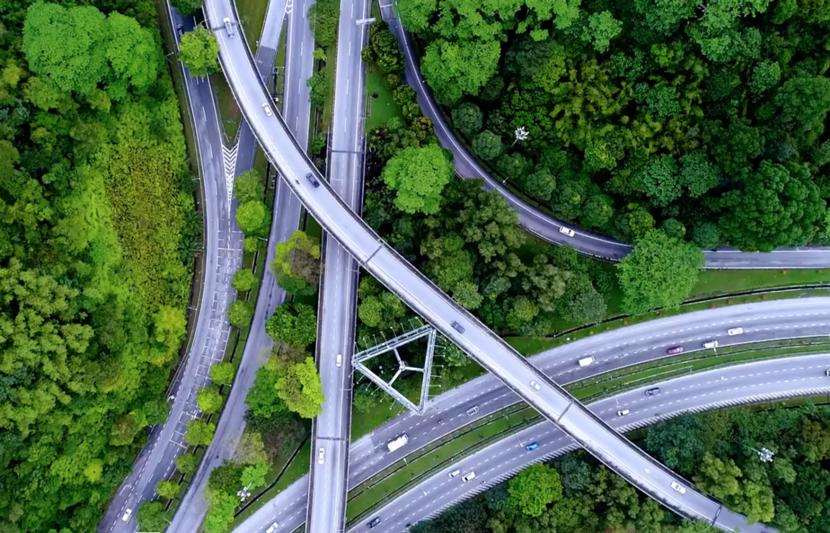 A network of roads and interchanges through the trees
