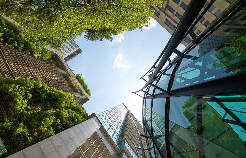 Ground up view of city buildings with gardens and trees