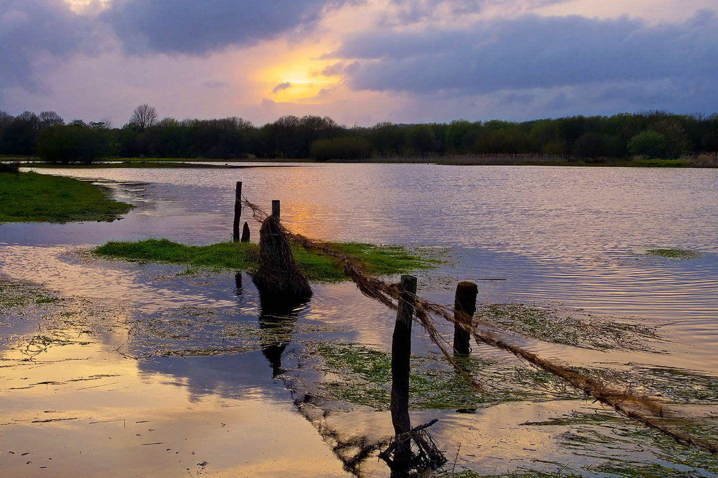 flooding 1600x1000.jpg