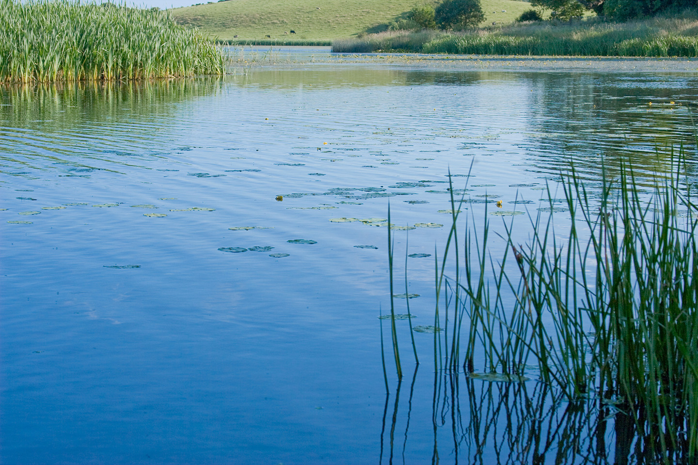 Environment (7)0021.jpg