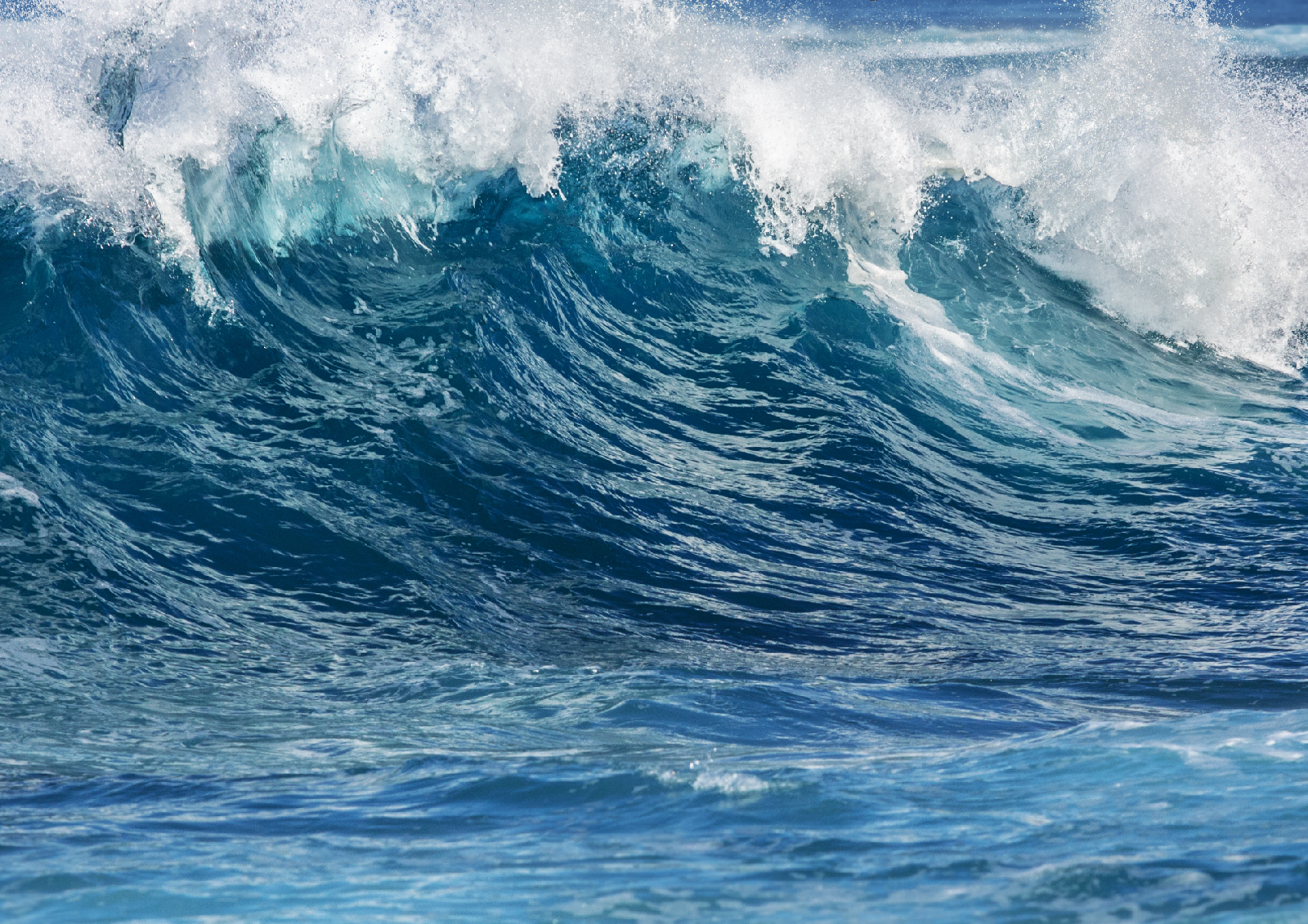 General - Sea Imagery - shutterstock_Web Size.png