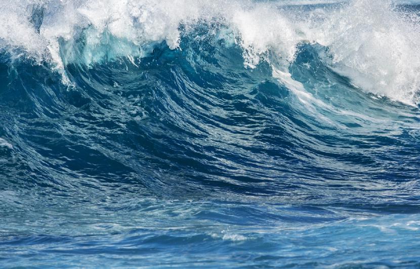 General - Sea Imagery - shutterstock_Web Size.png