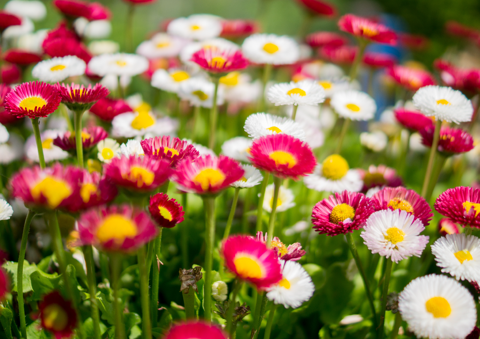 RPS was instructed to visit 29 sites across the UK to help understand potential environmental liability risks associated with the land-holdings and to verify environmental due diligence information supplied by the vendor.