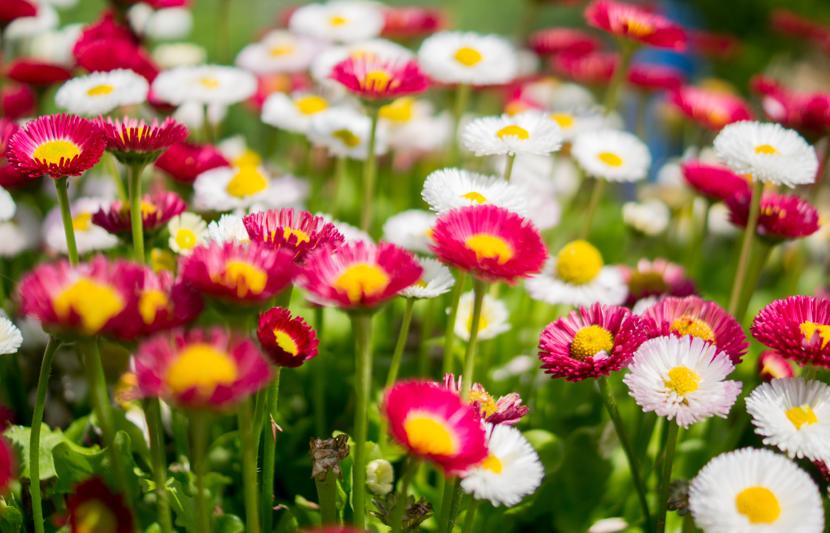 RPS was instructed to visit 29 sites across the UK to help understand potential environmental liability risks associated with the land-holdings and to verify environmental due diligence information supplied by the vendor.