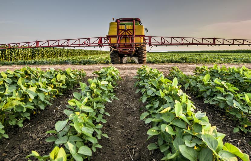 A tractor in food ripening season in a field.