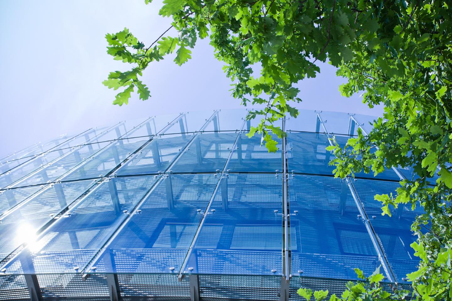 Environmentally friendly architecture. outside of a building with trees