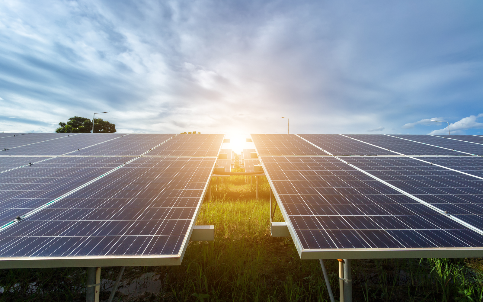 Solar panel farm for generating renewable energy