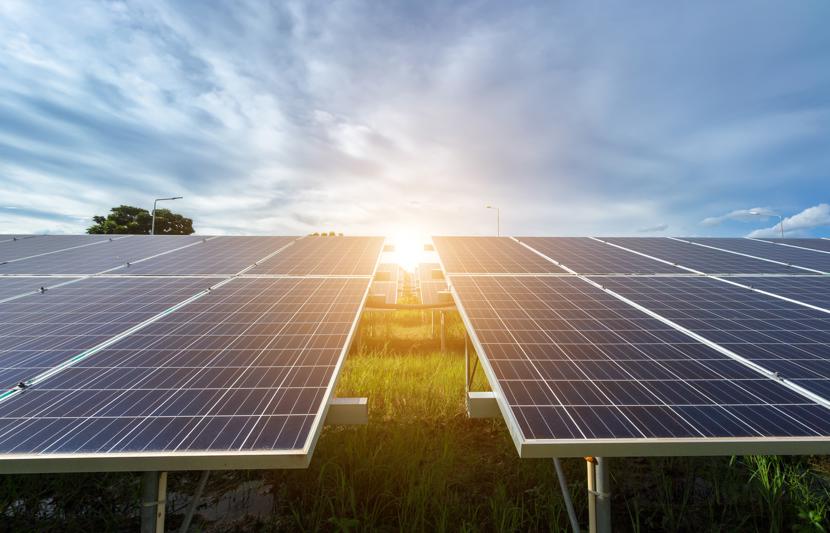 Solar panel farm for generating renewable energy