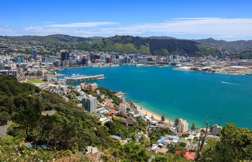 Wellington City harbor and downtown