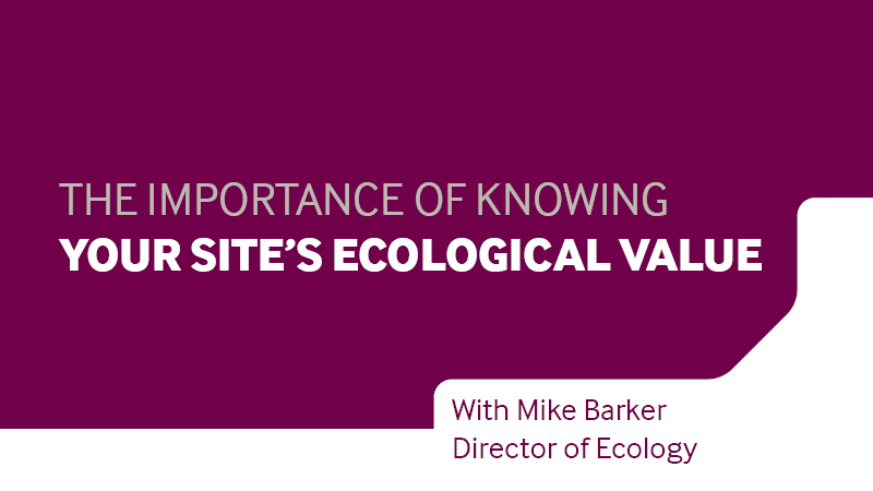 Video cover: The importance of knowing your site's ecological value