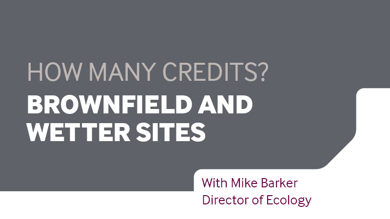 Video cover: Brownfield and wetter sites - How many credits do you have?