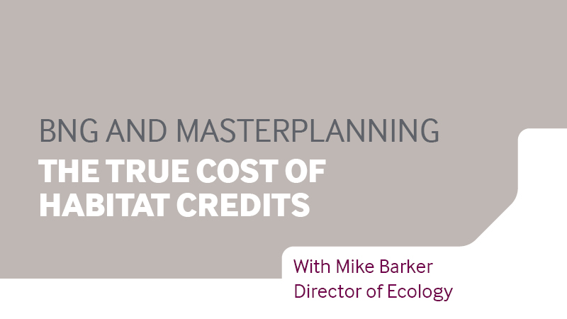 Video cover: BNG and Masterplanning