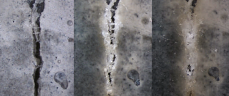 self healing of concrete cracking using live bacteria
