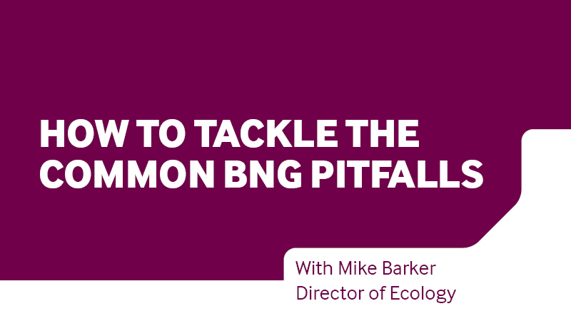 How to tackle the common BNG pitfalls video banner image