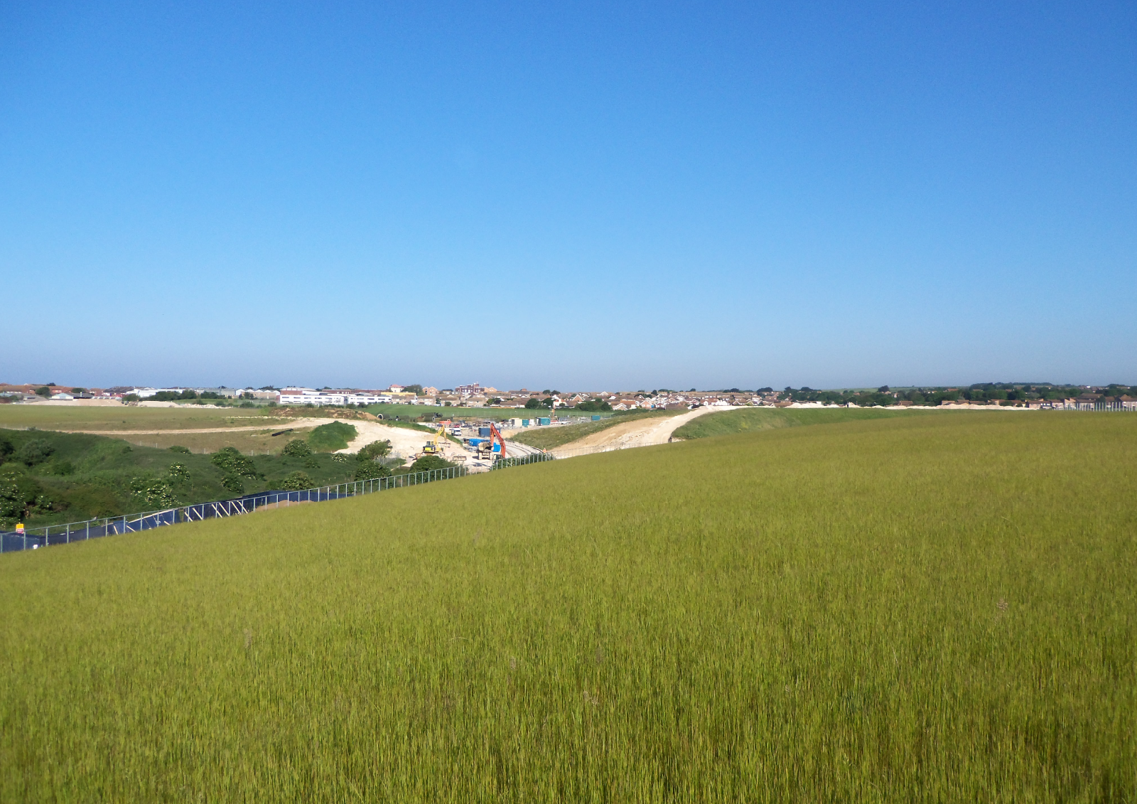 Green roof on building 