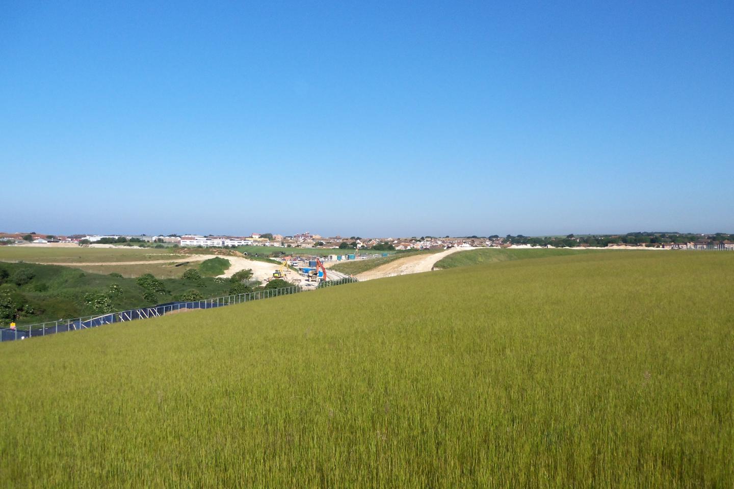 Green roof on building