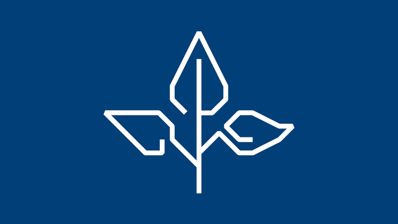 Concept Design - icon of tree with leaves