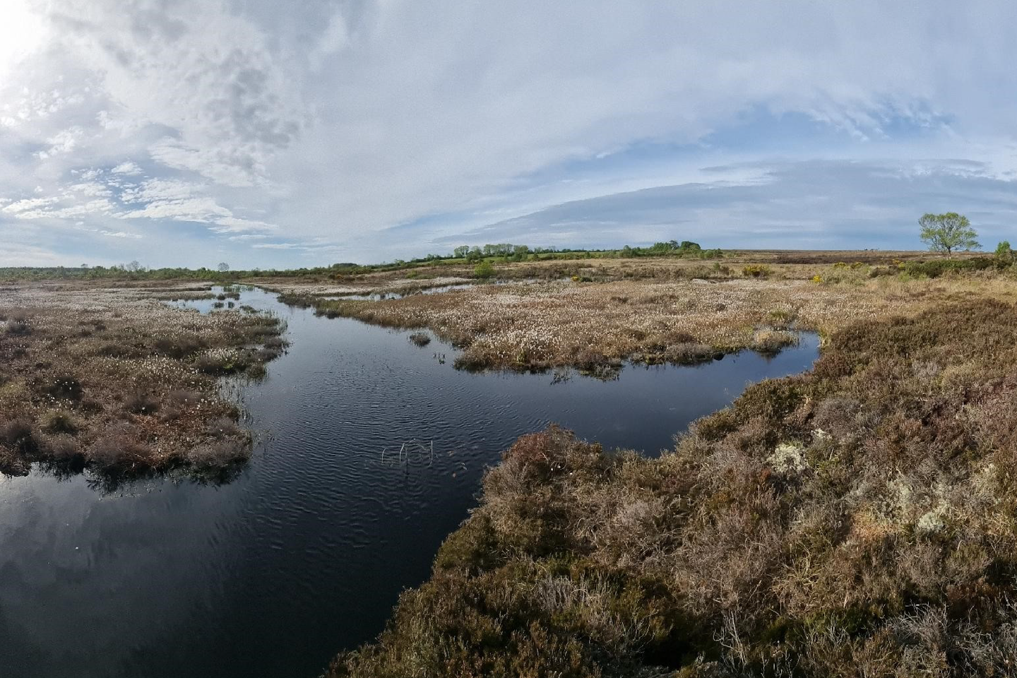 Waterlogged conditions in landmass covered by peatlands, image from the Living Bog project