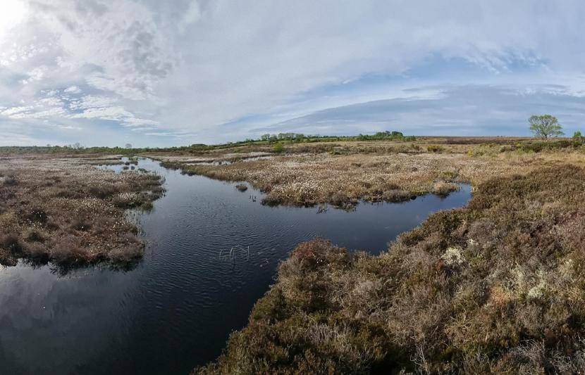 Waterlogged conditions in landmass covered by peatlands, image from the Living Bog project