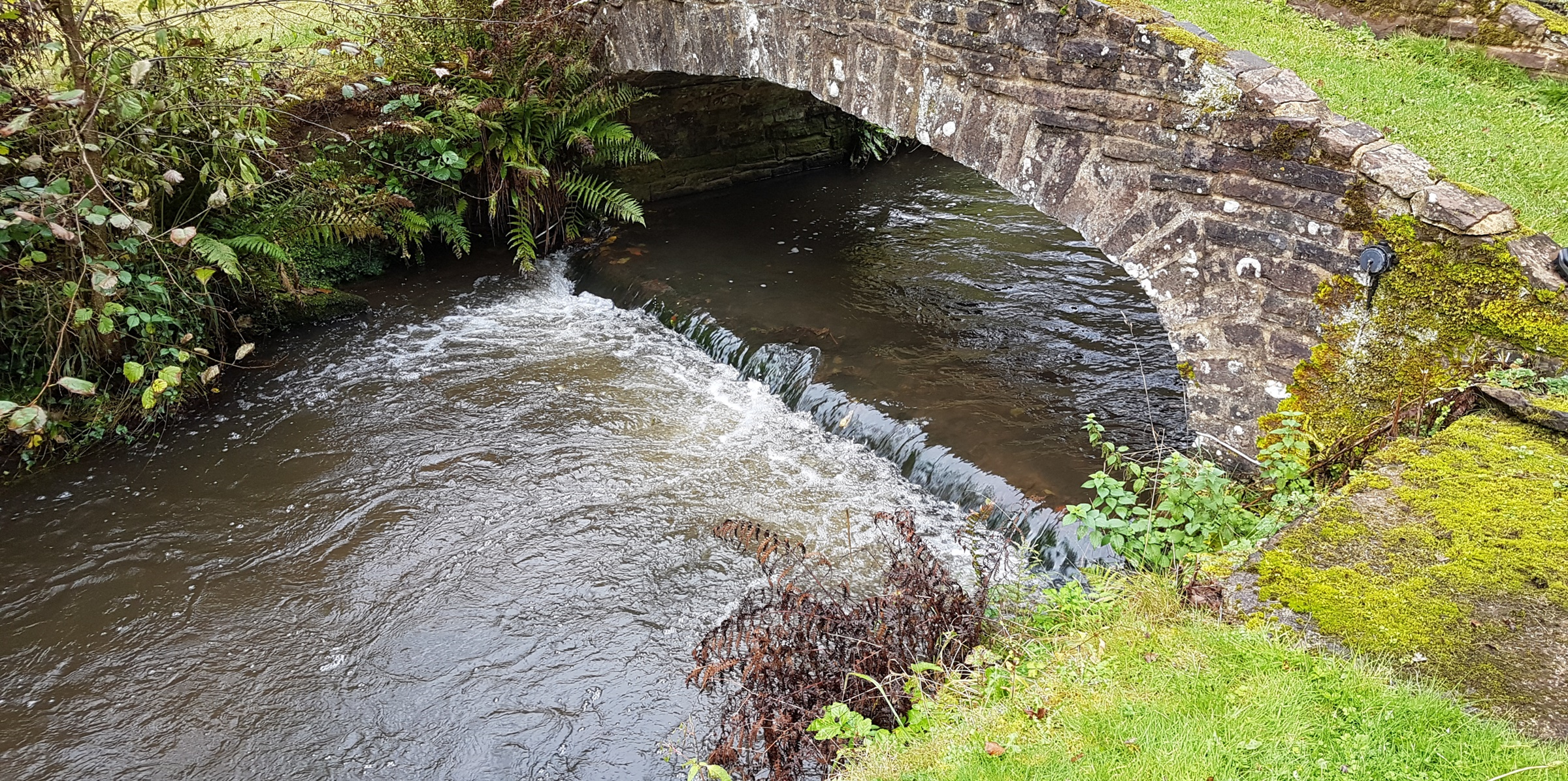 Cinderford Brook and bridge