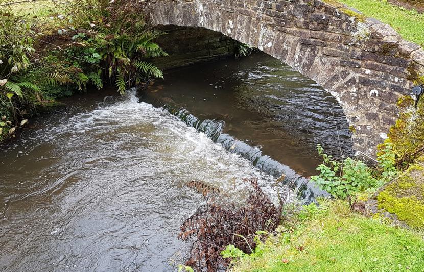 Cinderford Brook and bridge