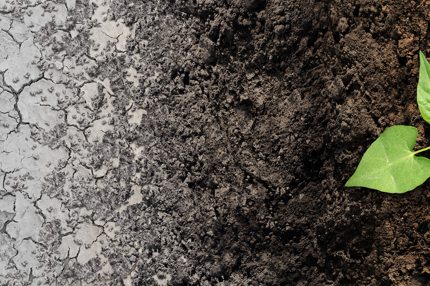 Water Climatechange4