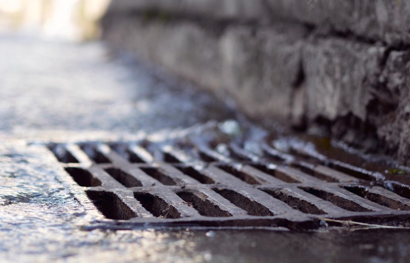 Adobestock 231842248