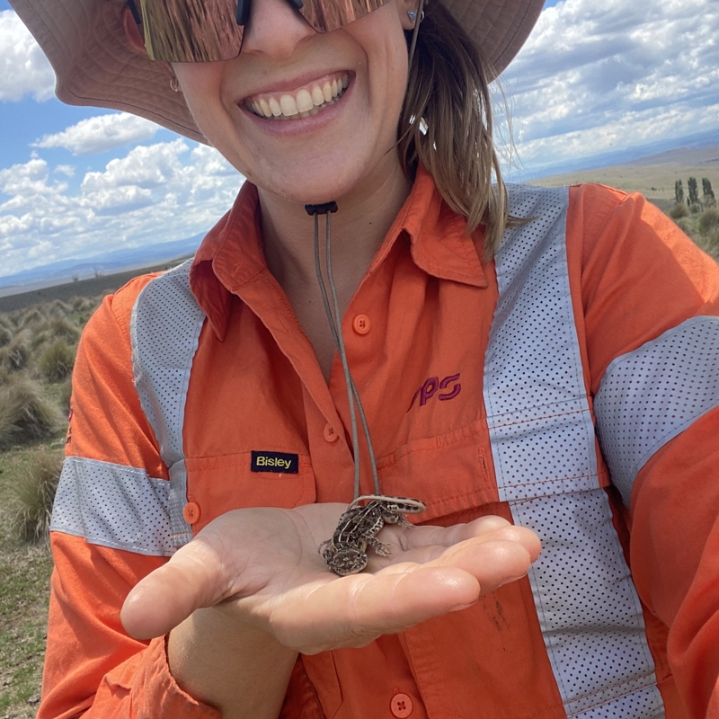 Monaro Grassland Earless Dragon