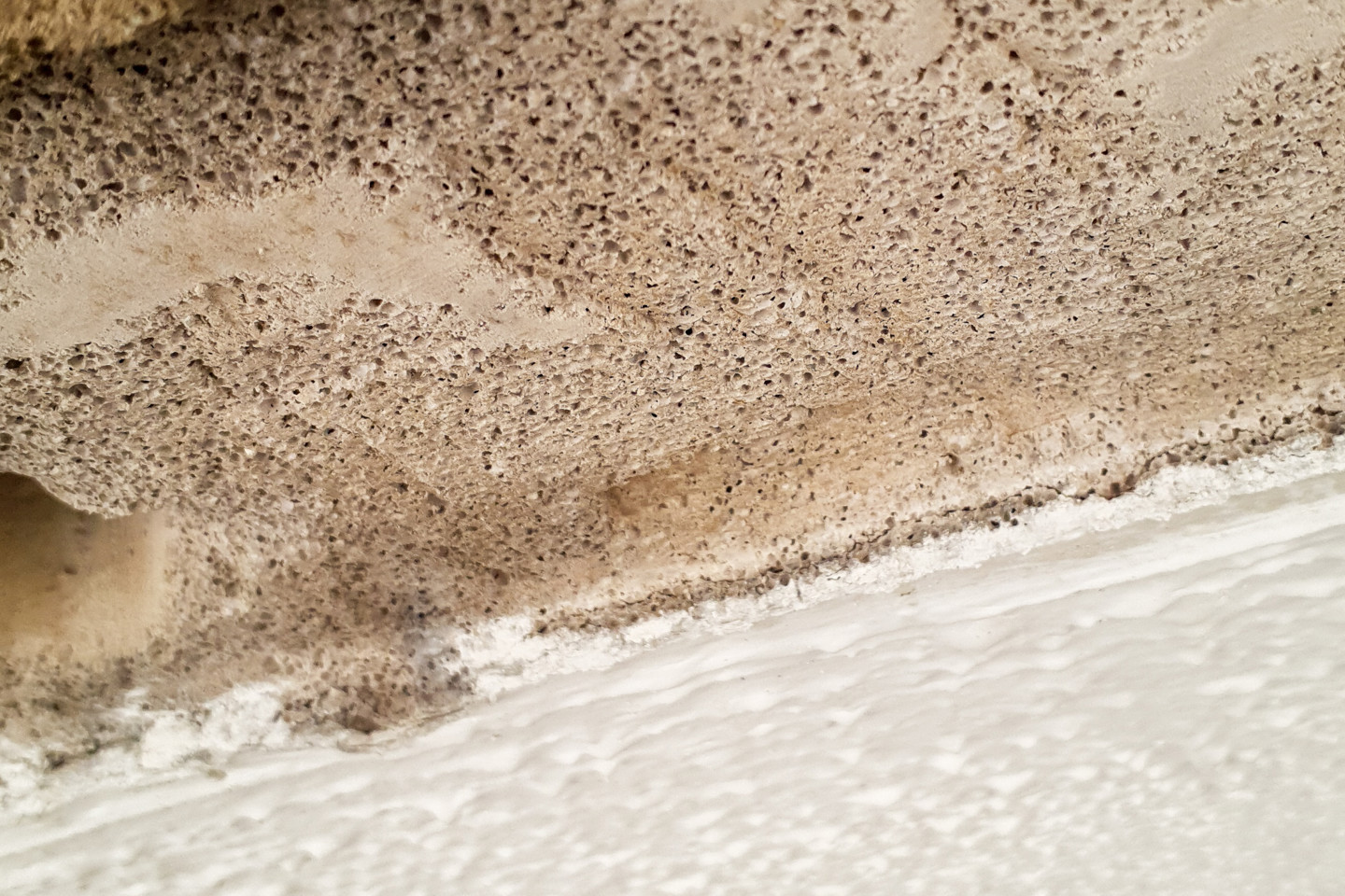 RAAC RPS Leading Minds Webinar