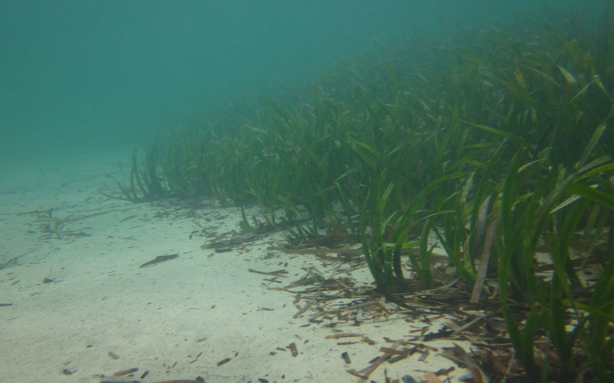 South Thomson Development Barge Landing 03