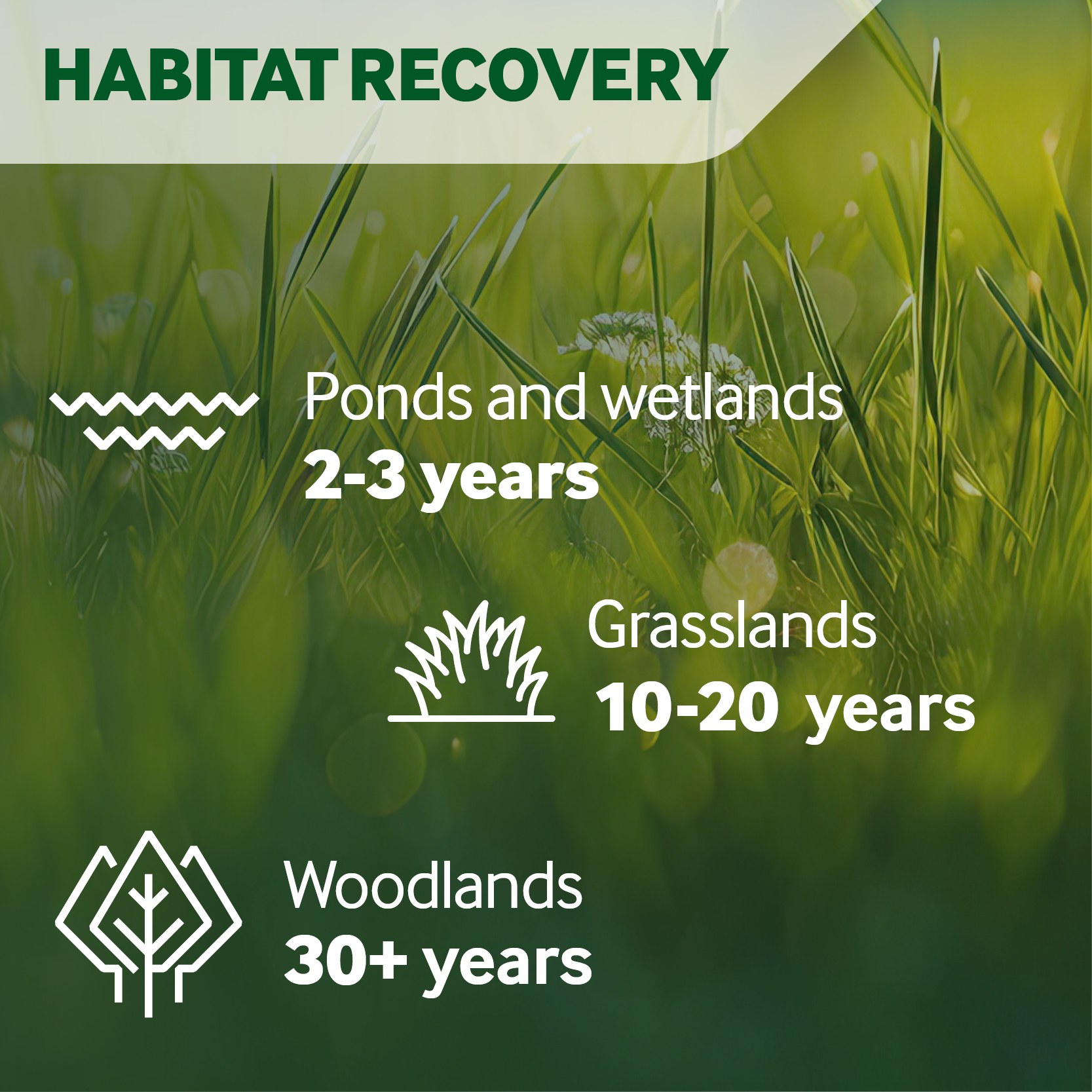 Infographic with grassland background and text reading "Habitat recovery. Ponds and wetlands 2-3 years. Grasslands 10-20 years. Woodlands 30+years."