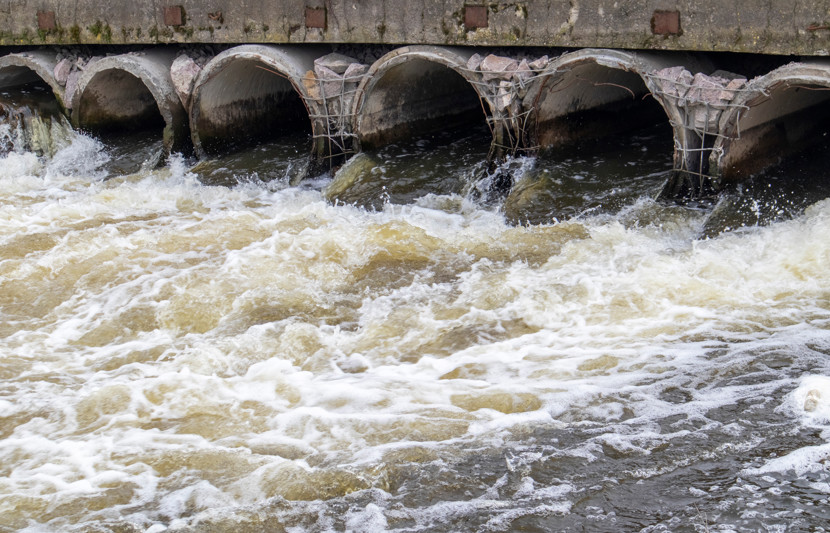 Adobestock 601839526