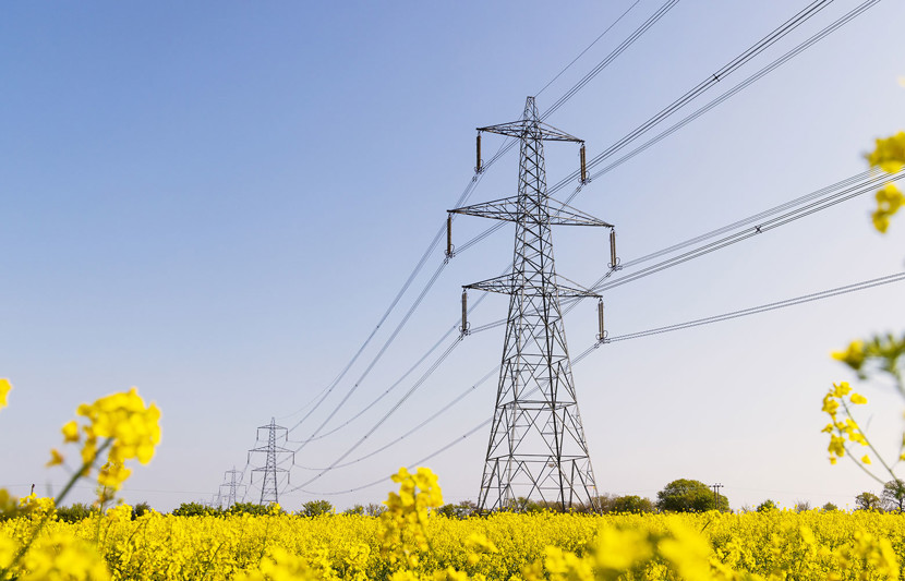 Transmission lines in field of rapeseed flowers in Hertfordshire, UK