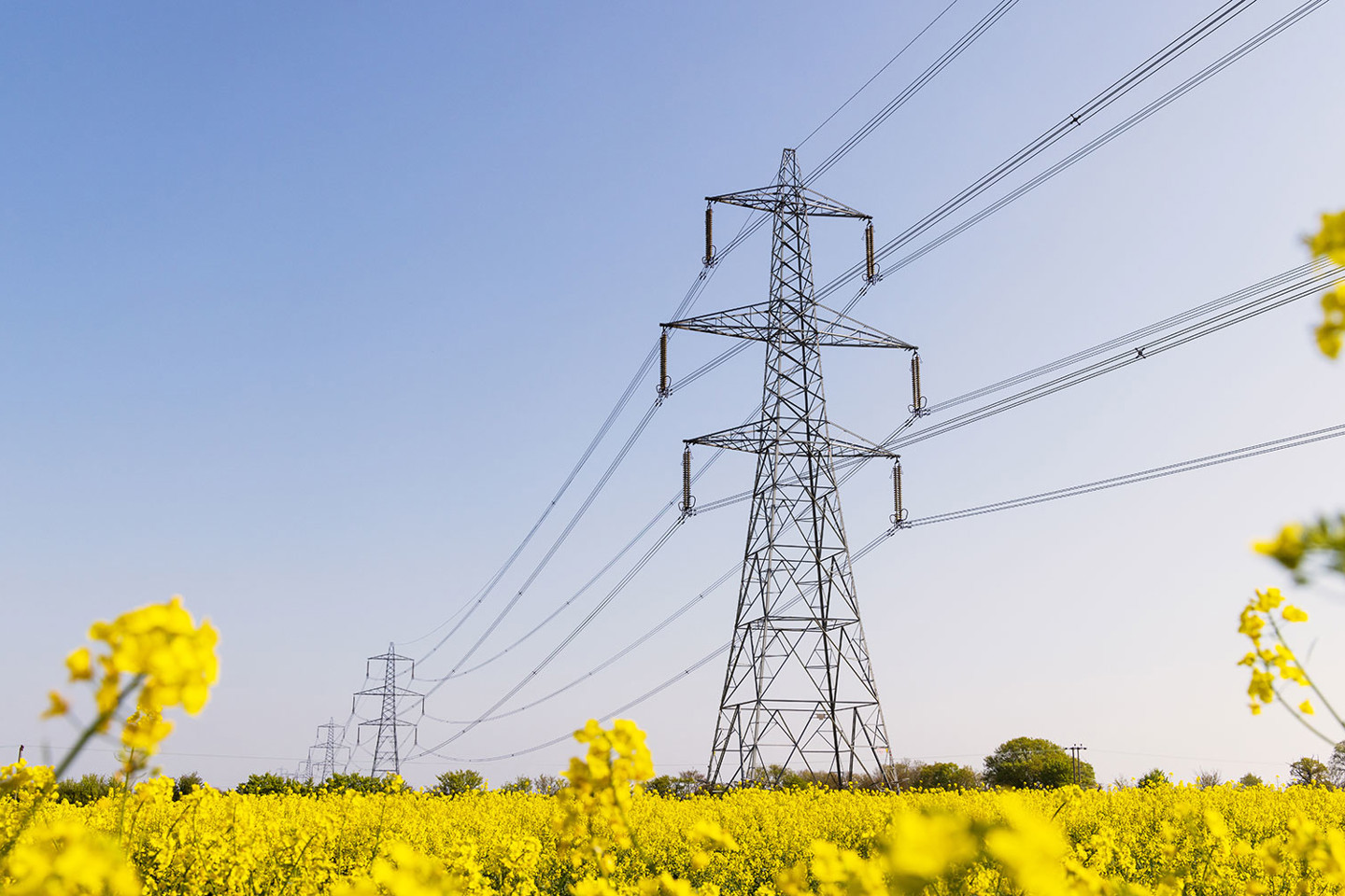 Transmission lines in field of rapeseed flowers in Hertfordshire, UK